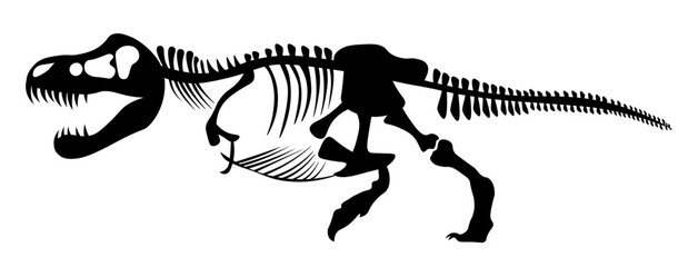 T-rex Skeleton