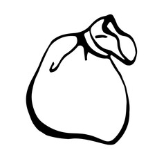 gift bag on a white background