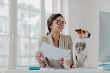Professional woman and her attentive Jack Russell Terrier working together at a bright home office