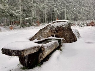 L’hiver la neige recouvre toute la forêt.
