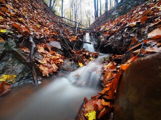 Clear water on small waterfall in a beautiful mountain stream. Colorful autumn forest