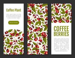 Coffee Plant Banner Design with Fruit Branch Vector Template