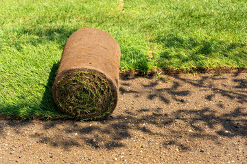 Close shot unrolled turf roll of natural green grass and grass free land. Laying rolls of grass sod...