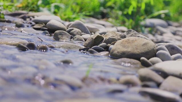 A stream flows over the stones in summer. Close up view.