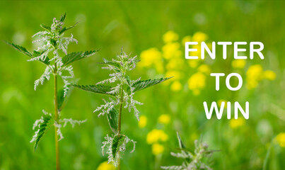 Enter to win, text written on a beautiful summer background