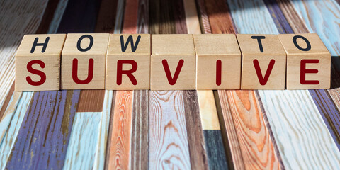 How to survive from wooden blocks on vintage background. Survival concept. Concept of starting a risky business.