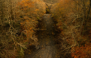 Aerial view of river Viaur in Aveyron - drone view