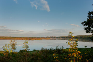 morning landscape of summer forest over the pond