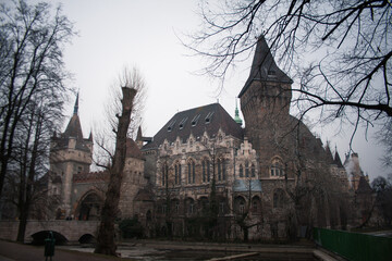 Obraz premium Vajdahunyad Castle, City Park of Budapest, Hungary