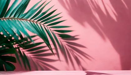 Fotobehang blurred shadow of tropical palm leaves on pink wall background summer concept © Florence