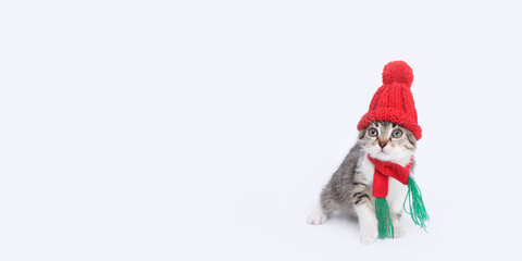 Cat in a red santa hat. Christmas Cat in red Santa Claus cap isolated on a white background. New Year greeting card poster winter holiday shopping. Merry Christmas. Happy New Year. Copy space 