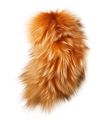 A fox tail isolated on transparent background
