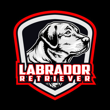Labrador retiever dog premium vector image