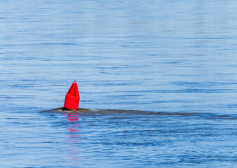 Low water levels in the lower Mississippi river with red navigation buoy showing the flow of water in the calm river