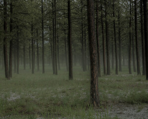 Fototapeta premium After A Hail Storm In Jemez Falls Campground