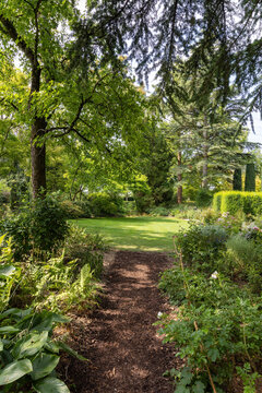 Park with meadow and path between trees in summer