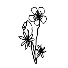 Sketch,doodle of wild meadow grass,flower.Decorative botanical element.Vector graphics.