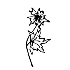 Sketch,doodle of wild meadow grass,flower.Decorative botanical element.Vector graphics.