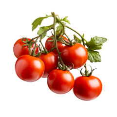 Tomatoes on a branch on an isolated background, PNG