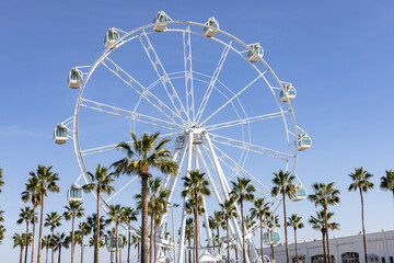 Giant Ferris Wheel Panoramic viewpoint between palm trees in Puerto Marina, Benalmadena, Malaga - obrazy, fototapety, plakaty