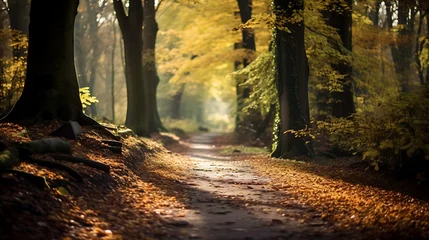 Fototapeten Exquisite shallow depth-of-field showcasing a forest pathway in autumn, fallen twigs scattered, sunlight © MuhammadInaam