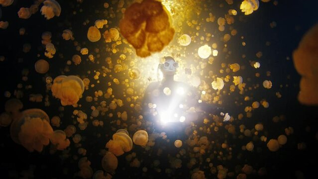 Freediver swims in the lake with lots of jellyfish at night. Night freediving in jellyfish lake in Raja Ampat, Misool, West Papua in Indonesia