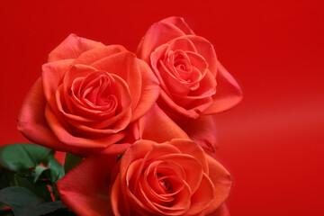 Fototapeta premium background