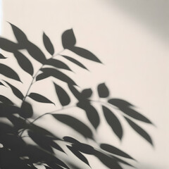 Naklejka premium Blurred Shadow from Leaves Plants on the White Background