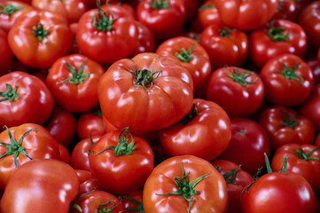 A lot of freshly harvested tomatoes on a market stall, closeup background