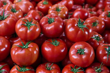 A lot of freshly harvested tomatoes on a market stall, closeup background