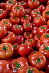 A lot of freshly harvested tomatoes on a market stall, closeup, vertical, background