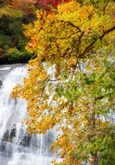 Rainbow Falls in Highlands,  North Carolina in Autumn