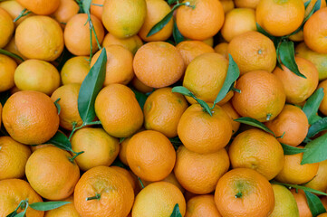 Fresh mandarin oranges or tangerines with leaves on market stall, background, closeup