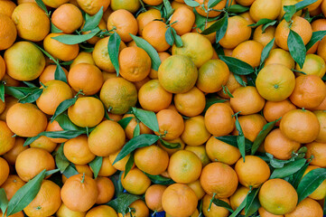 Fresh mandarin oranges or tangerines with leaves on market stall, background, closeup