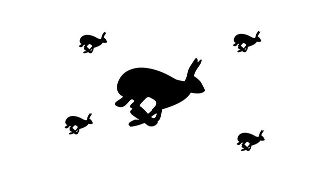 Zoom in and out animation the hare runs symbol. Large black symbol in the center and four small symbols around. Seamless looped 4k animation on white background