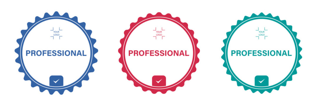 Professional certificate done. Certified logo badges set. Criteria level digital certificate with your logo copy space. Vector certified template