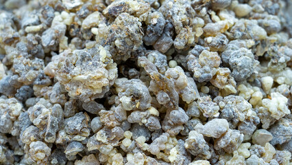 OMANI Aromatic driend frankincense (boswellia serrata) sold at Al-Husn Souq in Salalah.