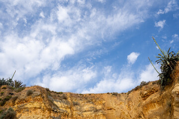 Beautiful Natural Landscape with Clouds, Desert, Mountains, and Trees