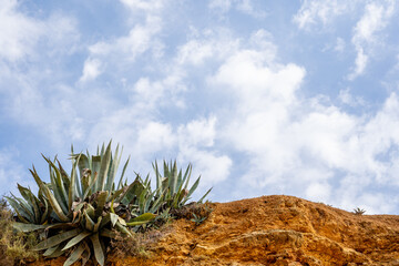 Beautiful Natural Landscape with Clouds, Desert, Mountains, and Trees