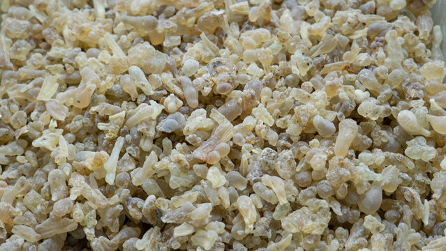 OMANI Aromatic driend frankincense (boswellia serrata) sold at Al-Husn Souq in Salalah.