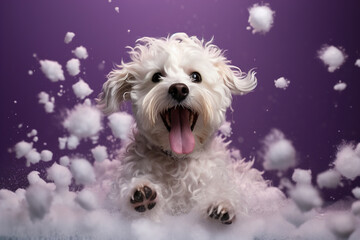 A joyful dog is taking a bath, surrounded by soap suds, splashes and bubbles.