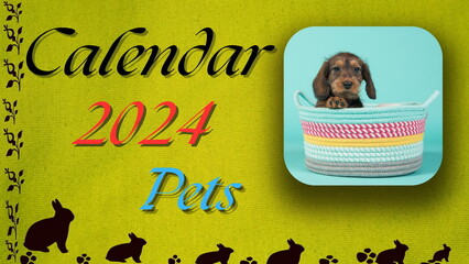 Pet Calendar 2024 14 pages #2 - obrazy, fototapety, plakaty