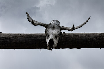 authentic animal skull on a building, cultural traditions