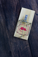 Close up photo of a mousetrap ready to use on a wooden floor vertical photo