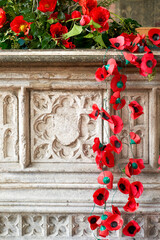 Remembrance Day poppies