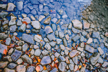 hewn stones in clear water and fallen autumn leaves