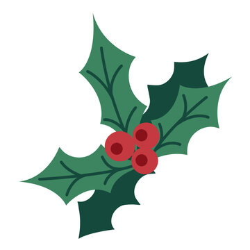 a spring of holly with red berries Christmas vector illustration