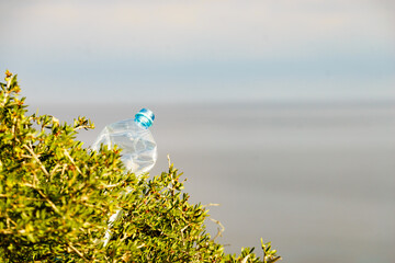 Plastic used water bottle on nature