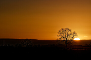 Sunrise on a Winter morning with trees silhouetting in the background