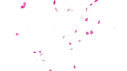 Confetti hearts falling down on white background. Beautiful heart decoration for Valentines day, wedding, birthday. 4k resolution with 60 frame per second. - Powered by Adobe